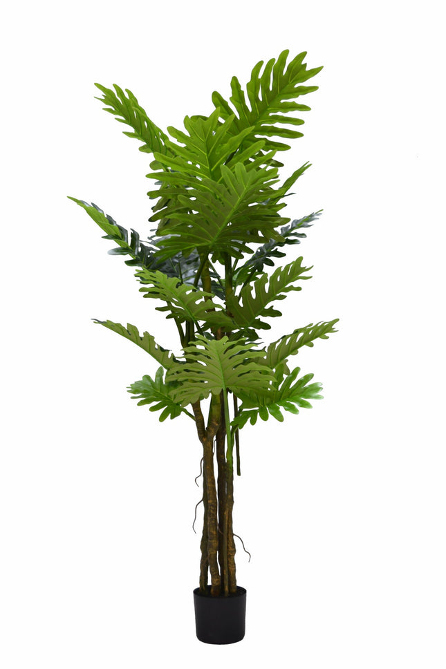 Kunstplant Philodendron - ↕180cm