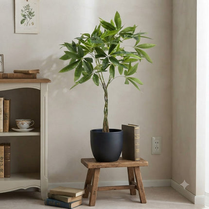 Kunstplant Pachira Aquatica - Geldboom - ↕90cm - Ø15cm