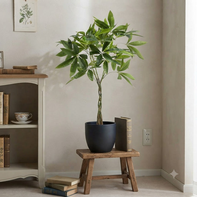 Kunstplant Pachira Aquatica - Geldboom - ↕90cm - Ø15cm