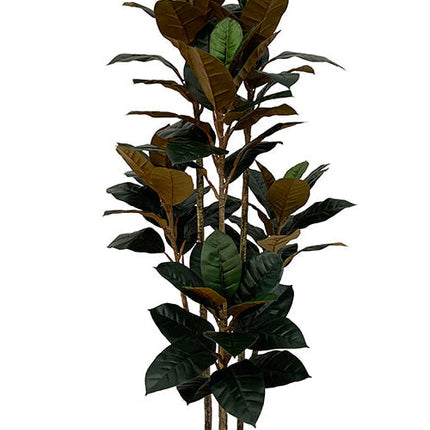 Kunstplant Ficus elastica met 3 stammen - ↕160cm