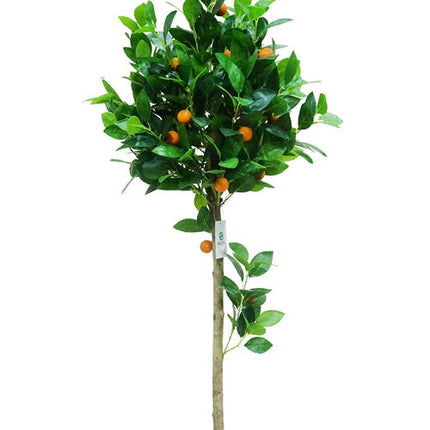 Kunst Sinaasappelboom - ↕170cm