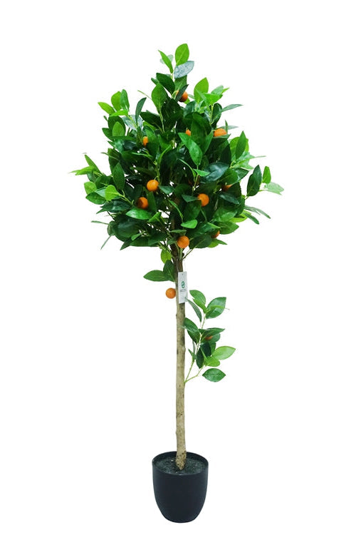 Kunst Sinaasappelboom - ↕170cm