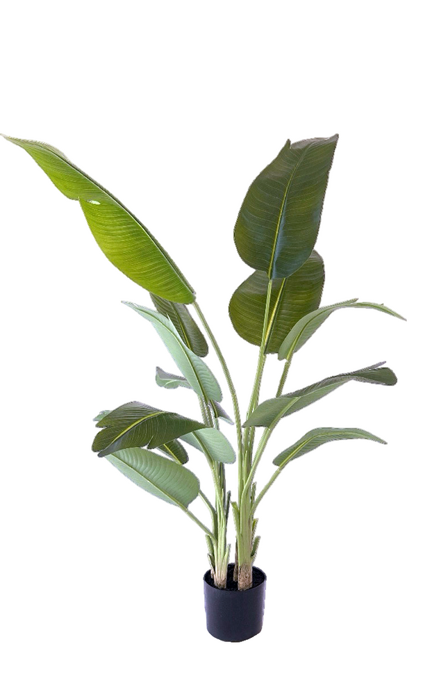 Kunstplant Strelitzia - ↕180cm