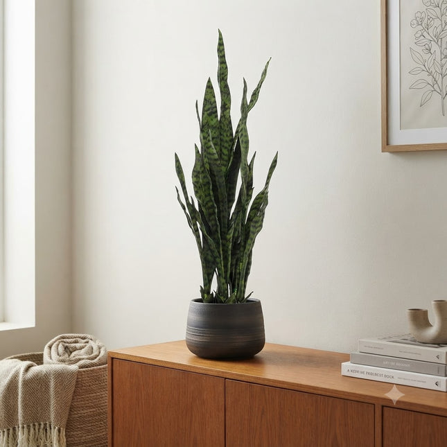 Kunstplant Sanseveria black coral - Vrouwentong - ↕100cm - Ø12cm