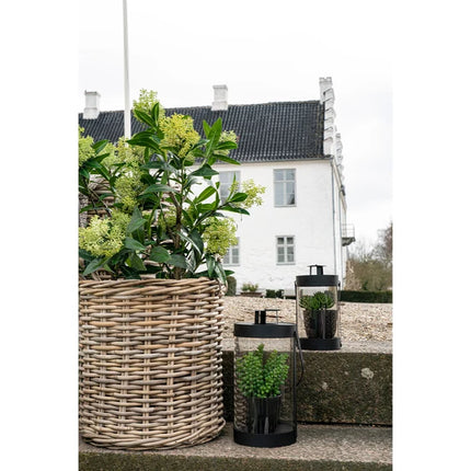 Kunstplant Skimmia boom - ↕75cm