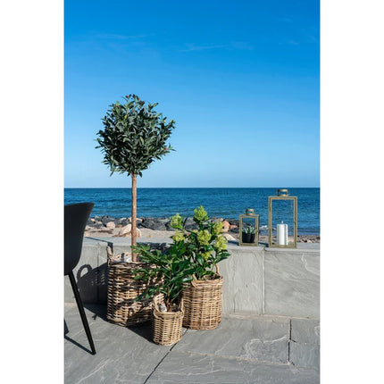 Kunstplant Skimmia boom - ↕75cm