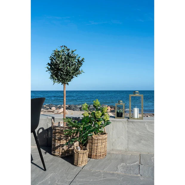 Kunstplant Skimmia boom - ↕75cm