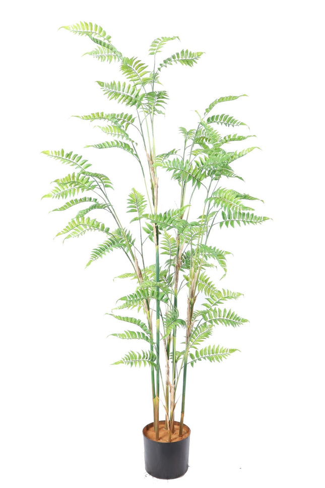 Kunstplant Varen - ↕160cm
