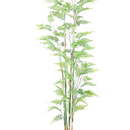 Kunstplant Varen - ↕180cm