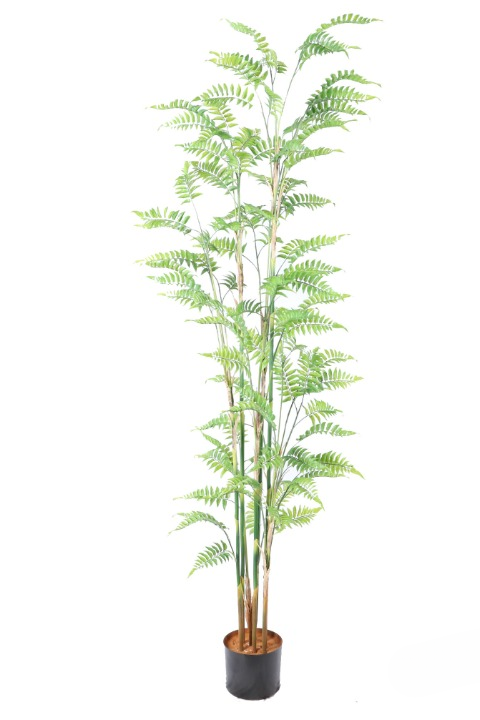 Kunstplant Varen - ↕180cm