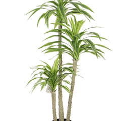 Collection image for: Yucca Kunstplant