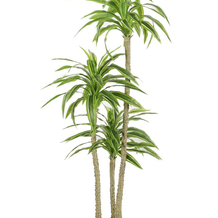 Kunstplant Yucca - ↕170cm
