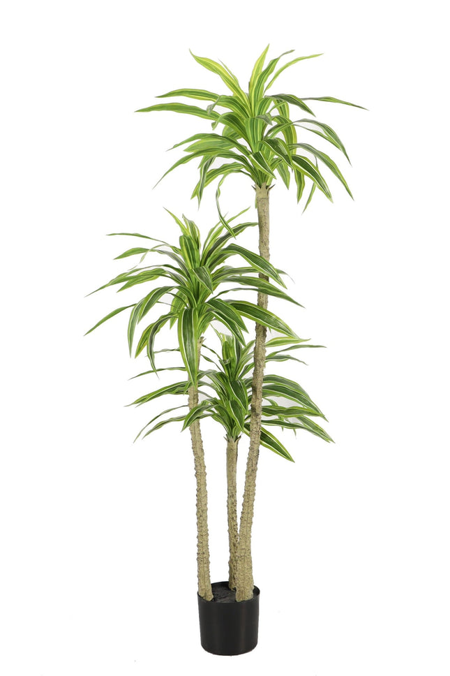 Kunstplant Yucca - ↕170cm