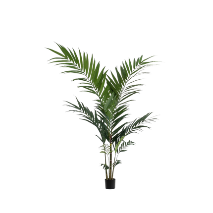Kunstplant Kentia palm - ↕150cm - Ø12cm