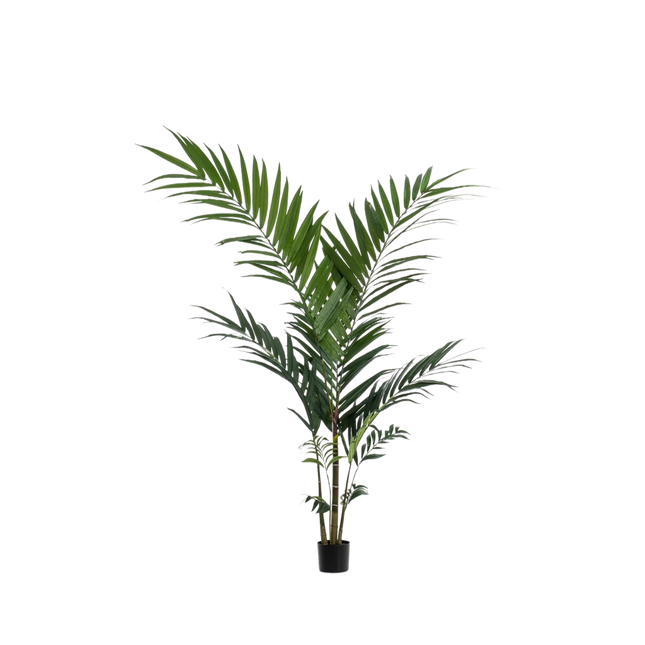 Kunstplant Kentia palm - ↕150cm - Ø12cm