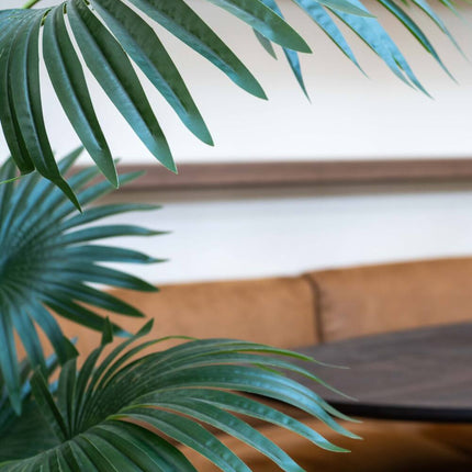 Kunstplant Palm XXL - ↕220cm