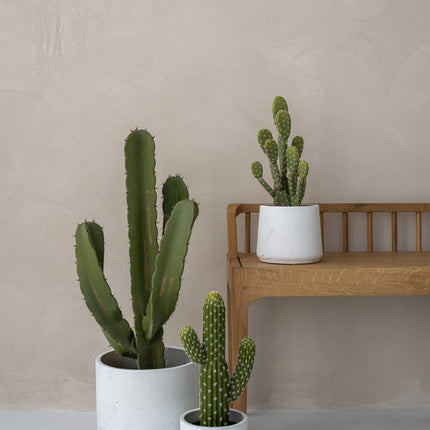 Kunstplant Cactus Cereus - ↕55cm