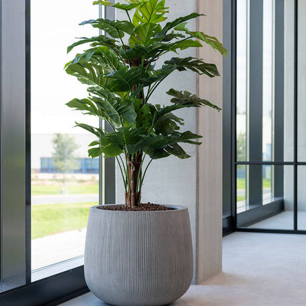 Kunstplant Monstera Pertusum - ↕140cm