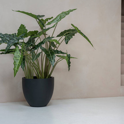 Kunstplant Alocasia Taro - ↕120cm