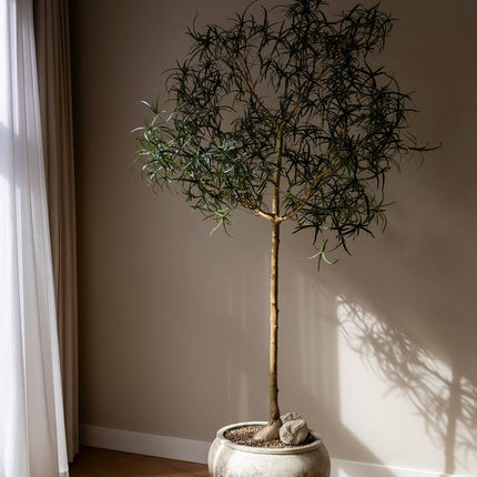 Kunstplant Queensland flesboom - ↕240cm