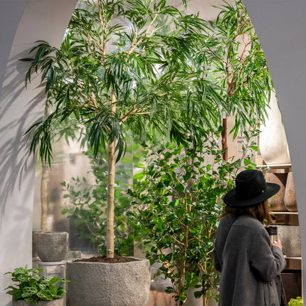 Kunstplant Ficus Alii‑boom - ↕230cm