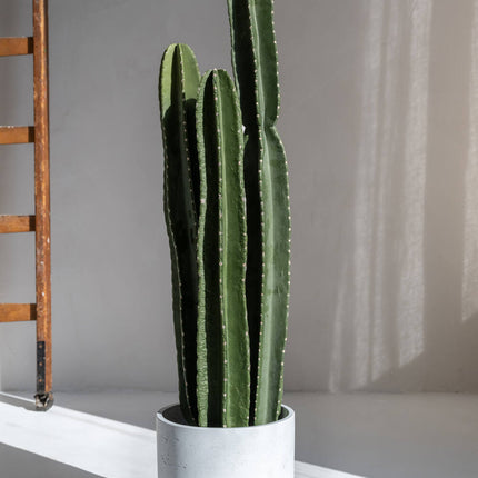 Kunstplant Cactus San Pedro XL - ↕100cm