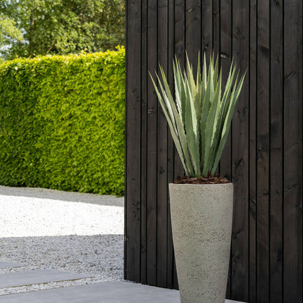 Kunstplant Agave - ↕103cm