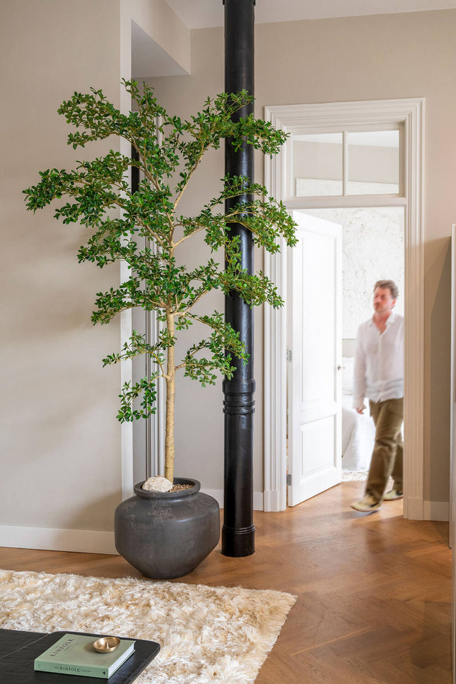 Kunstplant Buchida Buceras Shady Lady boom XL - ↕280cm