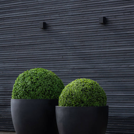 Kunstplant Buxus - ↕40cm