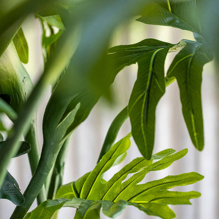 Kunstplant Philodendron - ↕160cm