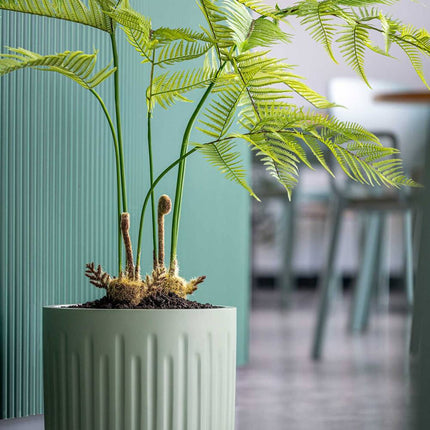 Kunstplant Varen - ↕120cm