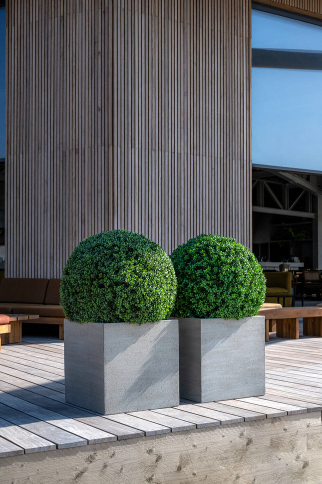 Kunstplant Buxus - ↕40cm