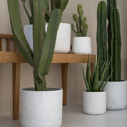 Kunstplant Cactus Cereus - ↕55cm