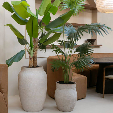 Kunstplant Bananenplant - ↕205cm