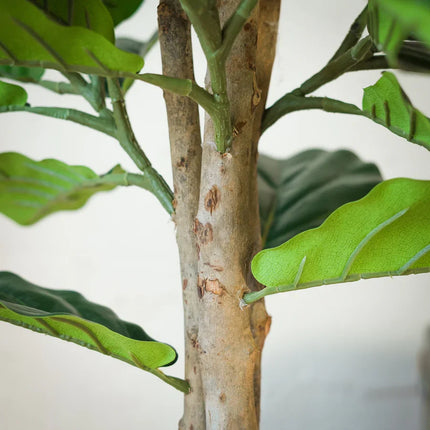 Kunstplant Ficus Lyrata - ↕160cm