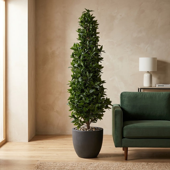 Kunstplant Laurier - ↕150cm