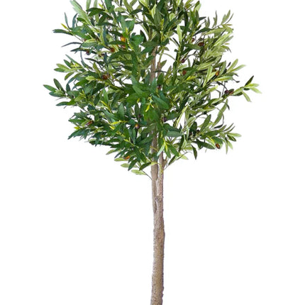 Kunstplant Olijfboom - ↕160cm