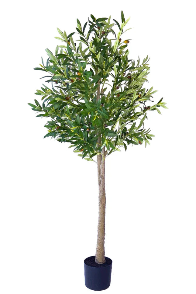 Kunstplant Olijfboom - ↕160cm