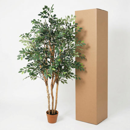 Kunstplant Ficus Exotica - ↕150cm