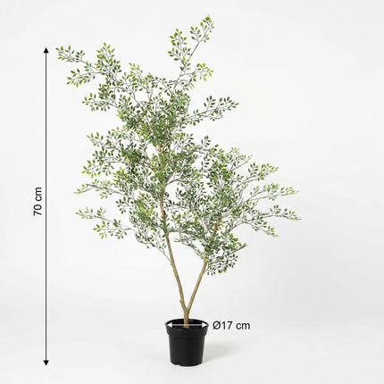 Kunstplant Bucida - ↕70cm