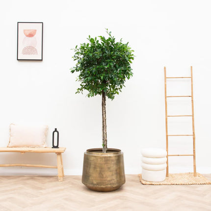 Plantenpot Indigo Vintage Gold - ↕31cm - Ø33cm