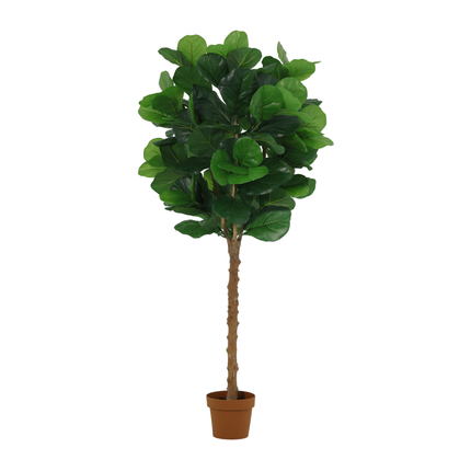Kunstplant Ficus lyrata tree - ↕160cm