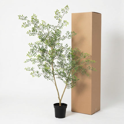 Kunstplant Bucida - ↕70cm