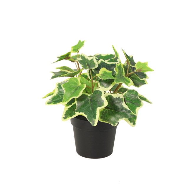 Kunstplant White Ivy - ↕19cm