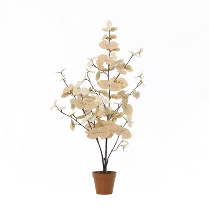Kunstplant Eucalyptus white - ↕86cm