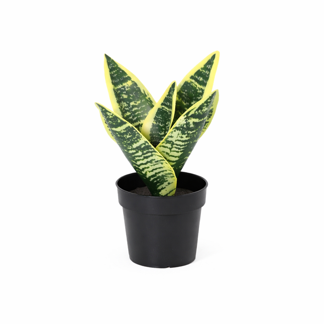 Kunstplant Sansevieria laurentii - ↕21cm