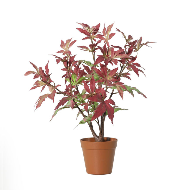 Kunstplant Maple - ↕53cm