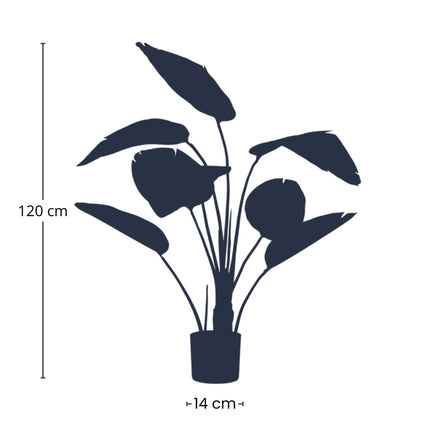 Kunstplant Strelitzia - In zwarte pot - ↕120cm