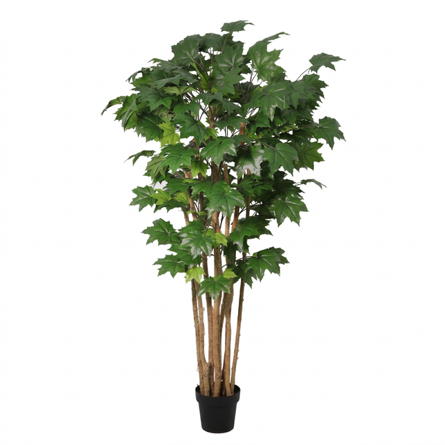 Kunstplant Maple tree - ↕180