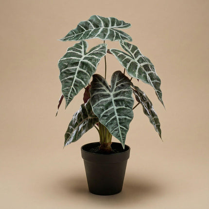 Kunstplant  Alocasia bush in pot - ↕40cm